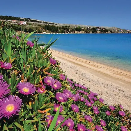 Amazing In Pag With Wifi